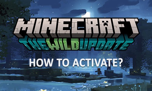 How do I turn on Wild Update in Minecraft?
