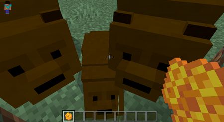 Brown Bears (3)
