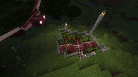New Adventure Plus (16)