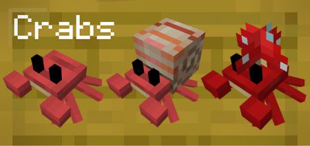 New Adventure Plus (8)