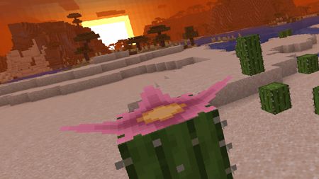 New Adventure Plus (19)