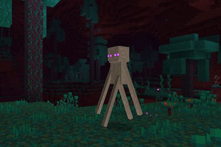 New Adventure Plus (10)
