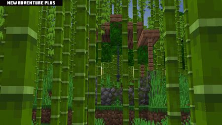 New Adventure Plus (22)