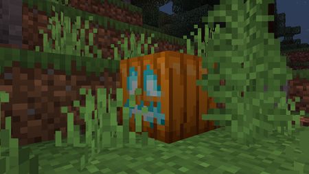New Adventure Plus (2)