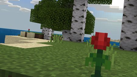 New Adventure Plus (18)