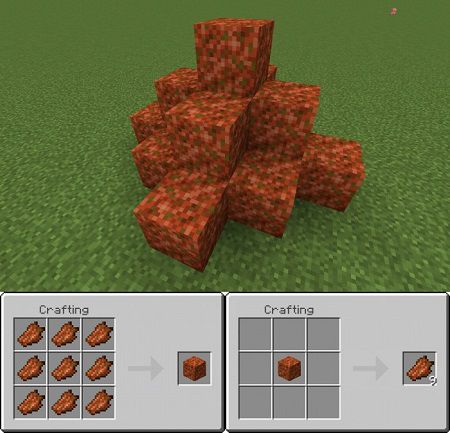 Rotten Flesh Block