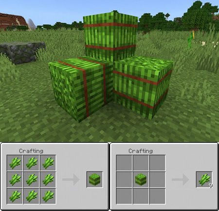 Sugar Cane Bale