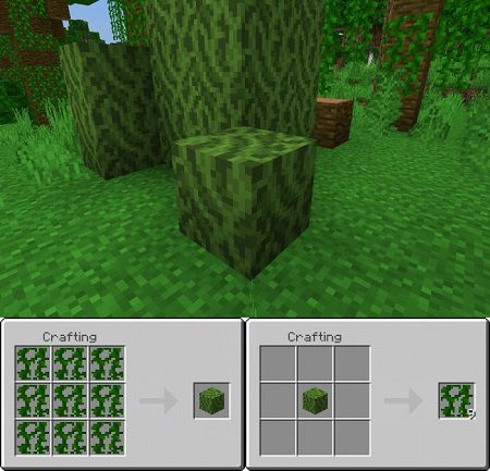 Vine Block