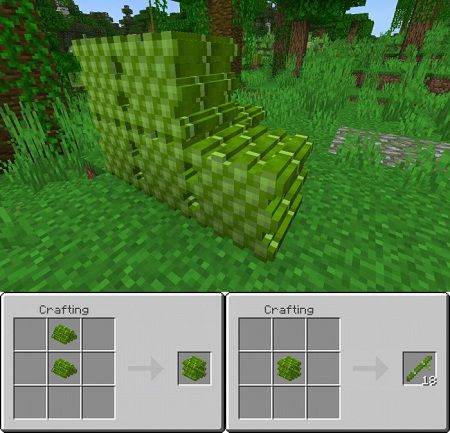 Bamboo Pile Block