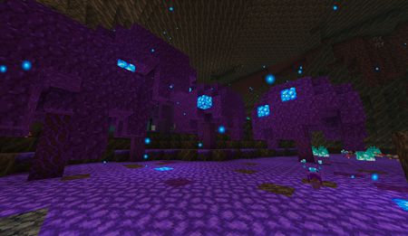 Soul Forest