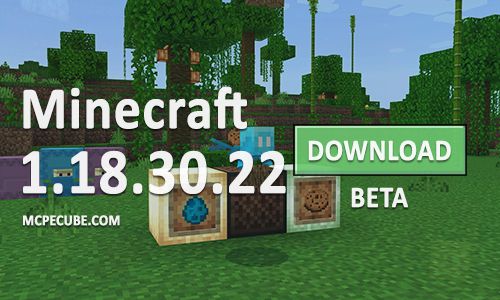 Minecraft PE 1.18.30.22 for Android
