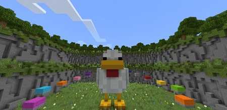 Chicken Prison (4)