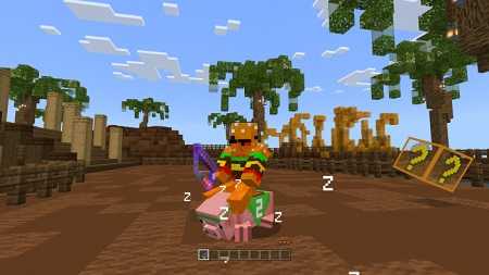 Pig Race Map (5)