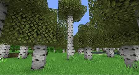 No RTX Shader 3