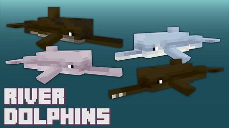 Too Many Dolphins (3)