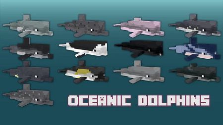 Too Many Dolphins (4)