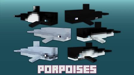 Too Many Dolphins (2)