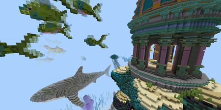 Reef Race (1)