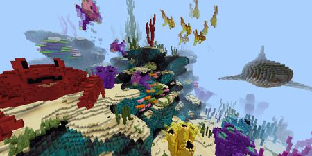 Reef Race (3)