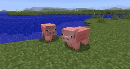 minecraft pigs