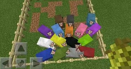 sheep