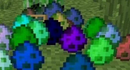 Spawn Eggs