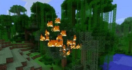 Fire