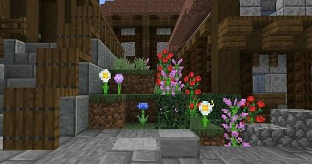 plants