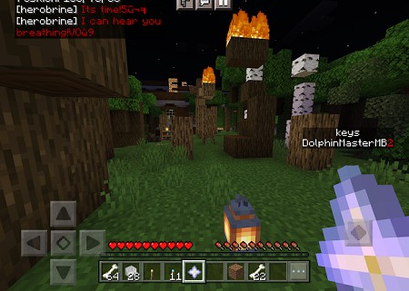 The Herobrine MiniGame Experience (3)
