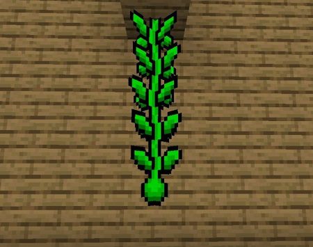 Mario Vines