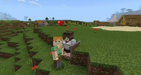 taming wife