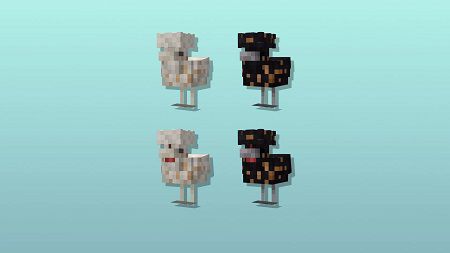 Cluckier Chickens (5)