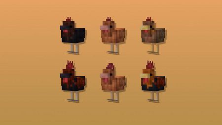 Cluckier Chickens (3)