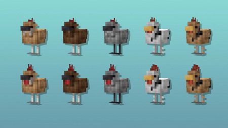 Cluckier Chickens (2)