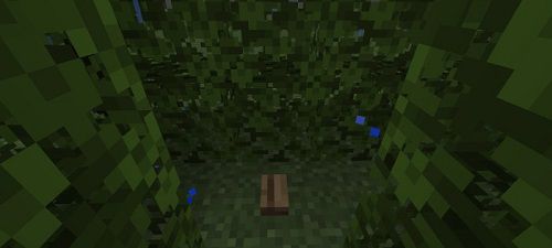 The Grass Mazze (4)