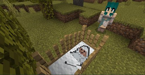 Minecraft Comes (4)
