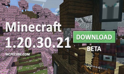 Minecraft PE 1.20.30.21 for Android
