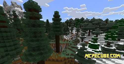 Trees Aplenty (2)