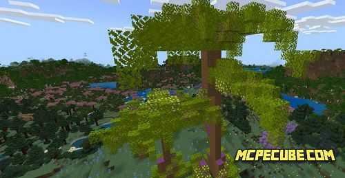 Trees Aplenty (1)