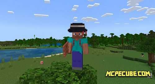 Meowhen Hats (3)