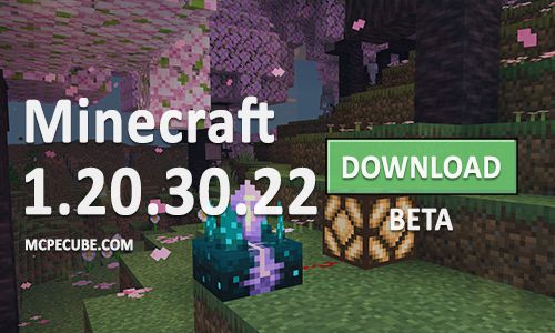 Minecraft PE 1.20.30.22 for Android