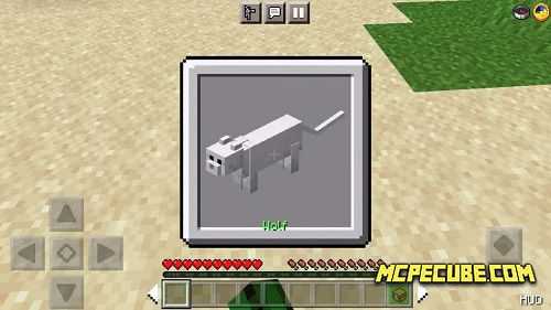 Morph Plus (2)