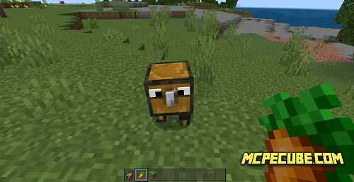 Crazy Chest (3)