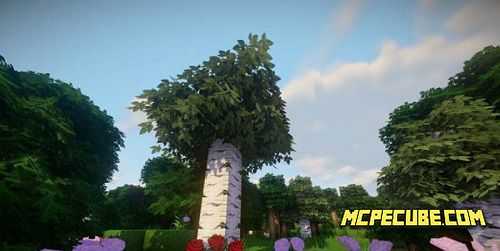 Better Foliage