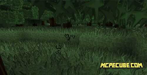 Better Foliage (1)