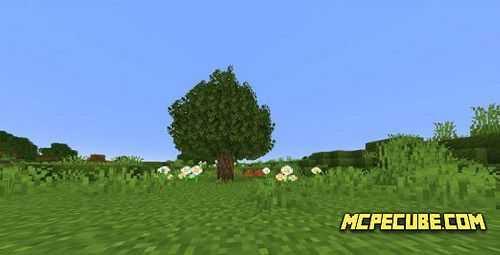 Better Foliage (2)