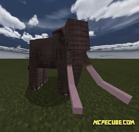 African elephant