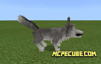 Wild wolf