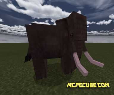 Asian elephant