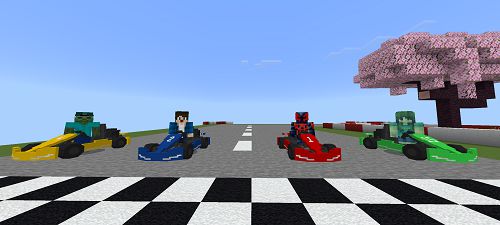 Go Karts Race (1)